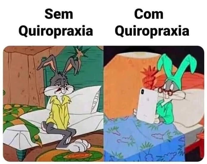 APÓS A SESSÃO DE QUIROPRAXIA(as 48h seguintes)
